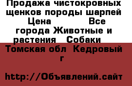 Продажа чистокровных щенков породы шарпей › Цена ­ 8 000 - Все города Животные и растения » Собаки   . Томская обл.,Кедровый г.